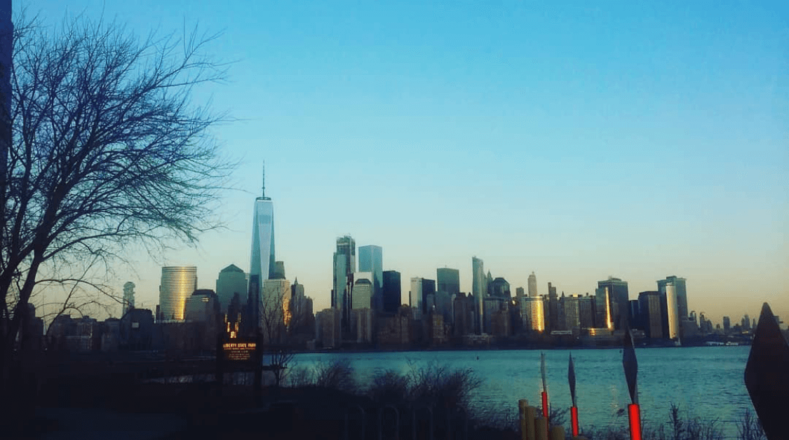 Lower Manhattan view