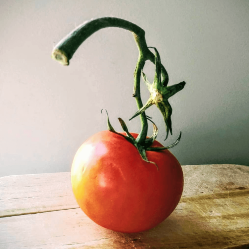 Still life tomato