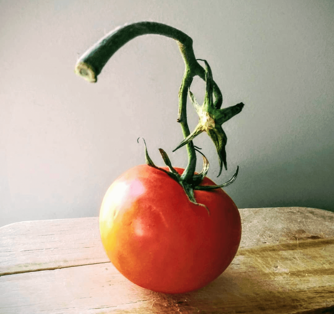 Still life tomato