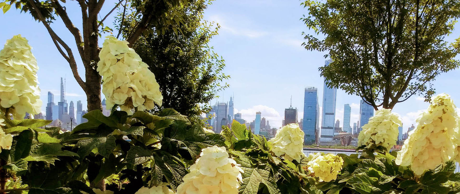 Spring Flowers with view of NYC skyline