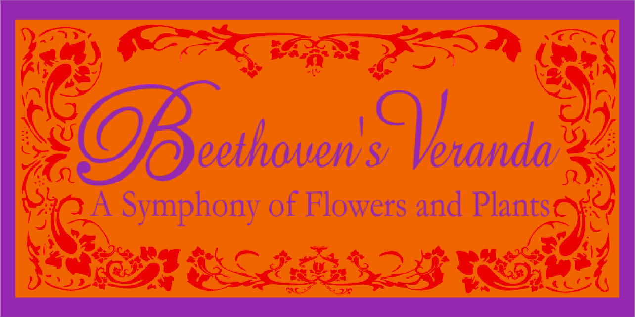 Beethoven's Veranda florist