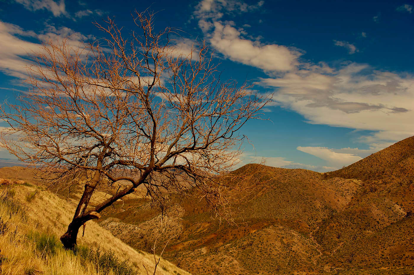 Arizona desert photography by Howard Russell Hill